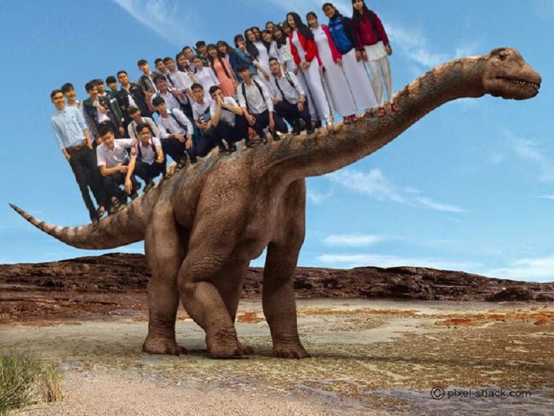 Phát sốt với trào lưu đưa lớp học đi muôn nơi của teen Việt-24