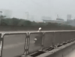 Tài xế ô tô