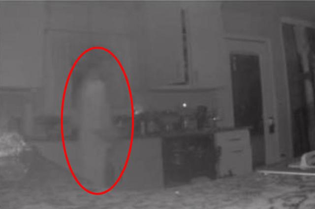 Tưởng người lạ vào bếp, mẹ sốc nặng khi thấy... bóng ma của con trai đã qua đời-1