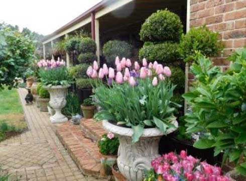 Phát hiện anh rể ngoại tình, em vợ mách nước chị gái 1 kế hay khiến anh ta sợ hãi mà quay đầu-3