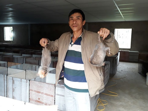 Đào được 40 tỷ mỗi năm từ cây khoai lang ngon nhất xứ Lạng-5