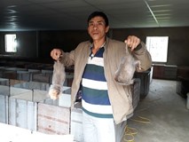 Nuôi đàn chuột núi 4.000 con thu 6 tỷ đồng/năm Nuôi đàn chuột núi 4.000 con thu 6 tỷ đồng/năm