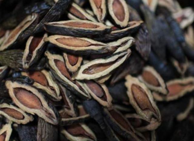 Để con trai ở nhà với ông bà nội, mẹ chết lặng khi bác sĩ nói con phải cắt lưỡi-2