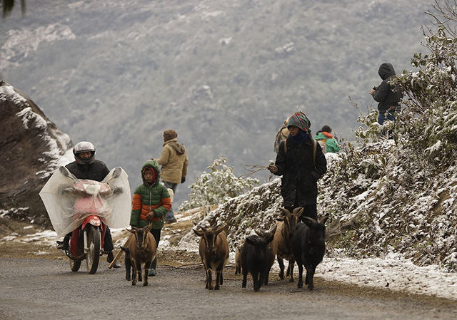 Miền Bắc rét tê tái, có nơi dưới 5 độ C-1