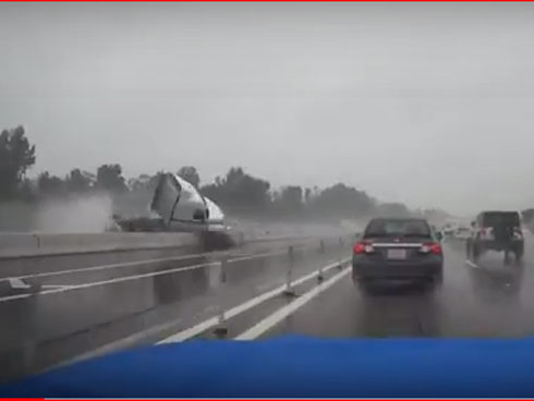 Hàng trăm gốc đào trị giá tiền tỉ ở Bắc Ninh bị phá hoại trong đêm-1