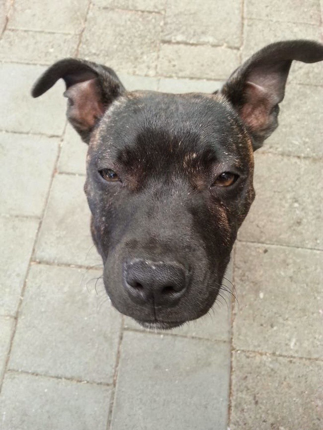 Chẳng cần Photoshop, 14 ảnh chụp ngẫu nhiên này đủ sức khiến bạn hoang mang cực độ-4