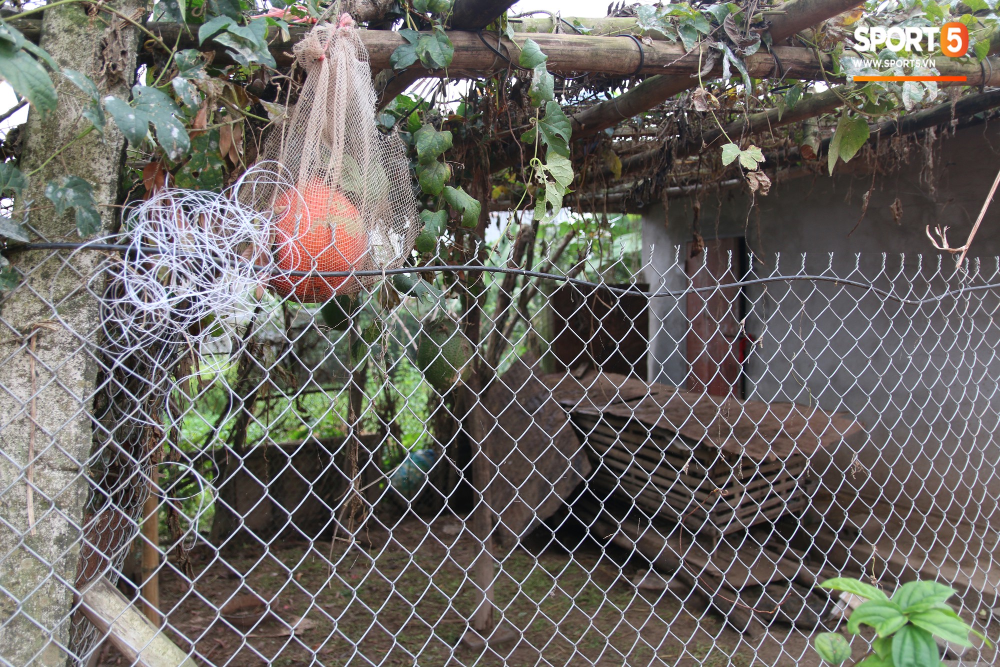 Về thăm nhà Văn Hậu, phát hiện món quà đầu tiên em út ĐT Việt Nam mua cho cha mẹ bằng đồng lương kiếm được-10