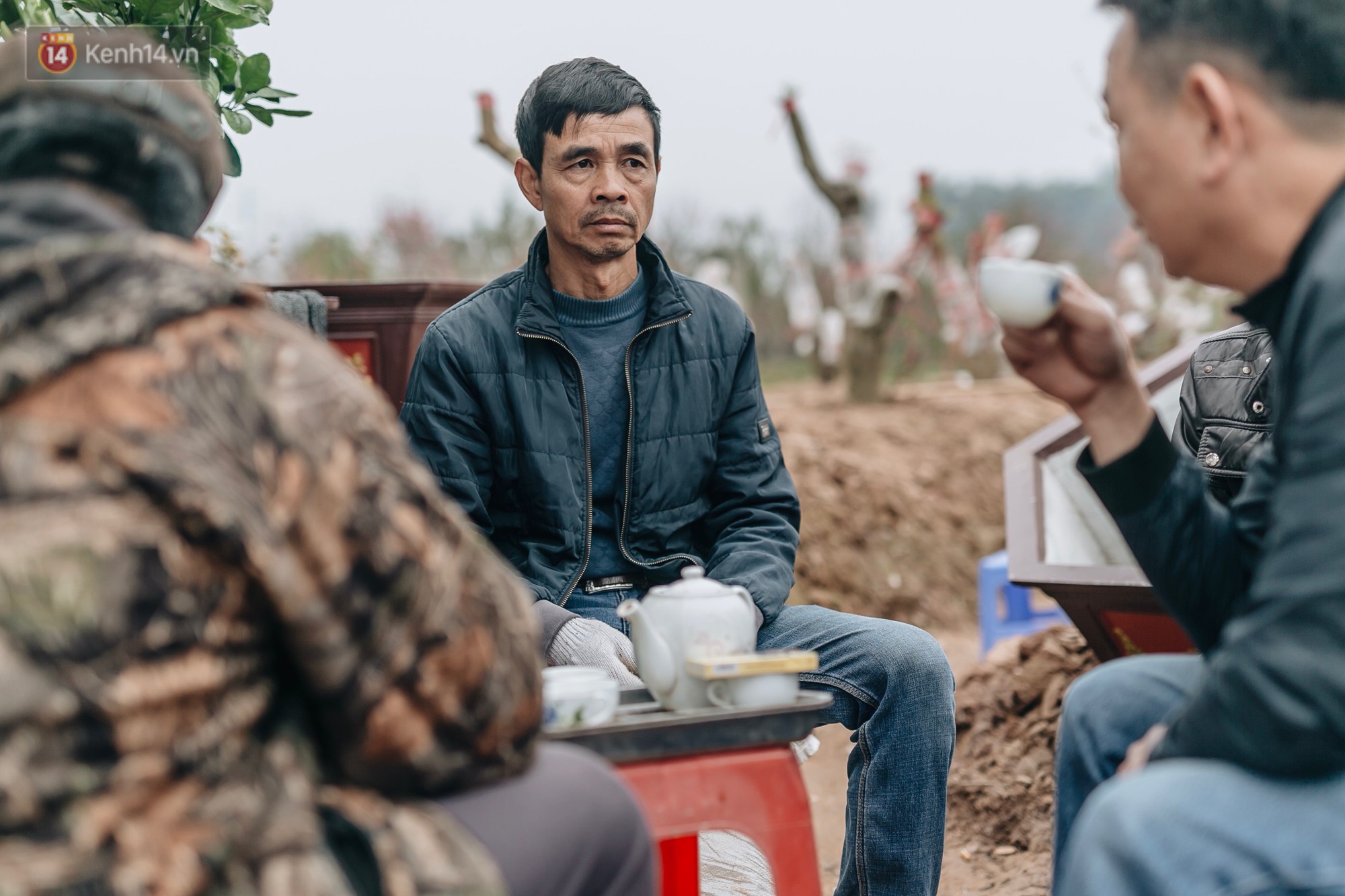 Gần 200 gốc đào của người dân Bắc Ninh bị chặt phá trong đêm: Tết năm nay còn chả có bánh chưng mà ăn-12