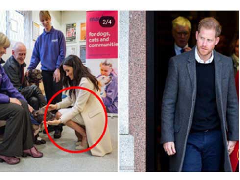 Tiết lộ mới gây sốc: Meghan rơi vào khủng hoảng trầm trọng khi liên tục bị dư luận ném đá-2