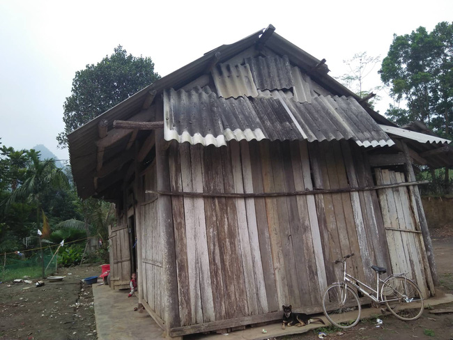 Nghệ An: Con trai 2 tuổi sợ hãi khóc thét sau 2 tháng gặp lại bố bị tai nạn giao thông-8