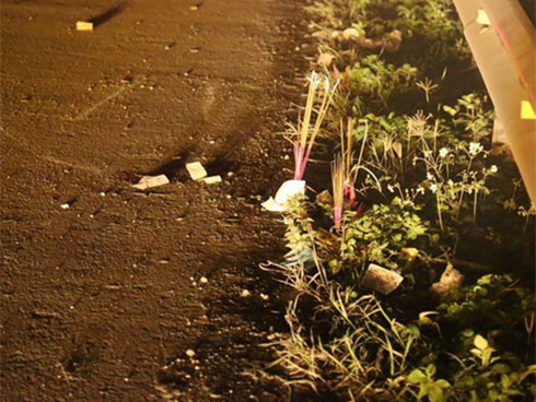 Tai nạn 8 người chết: Tài xế xe tải trình diện, có dấu hiệu dùng ma túy-2