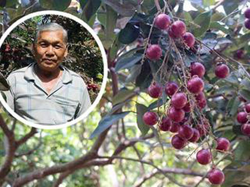 Cứ mỗi mùa Tết đến, cả làng mòn tay tóe máu-11