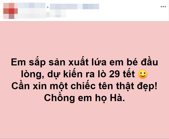 Mẹ trẻ gây cười khi nhờ dân mạng đặt tên cho lứa em bé đầu lòng, kết quả thu được cũng hài hước không kém-1
