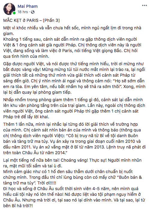 Mắc kẹt ở Paris - Lời cầu cứu sau 33 ngày ác mộng trên đất Pháp của nữ du khách Việt bỗng dưng bị giam giữ-1