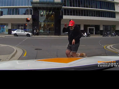 Quên phanh tay, người phụ nữ hớt hải chạy theo xe Lexus lao dốc-1