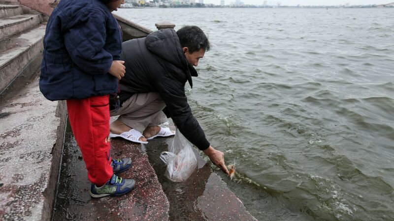 Thả cá chép ngày ông Công ông Táo thế nào cho ý nghĩa, linh thiêng?-3