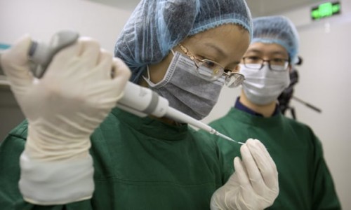 Trung Quốc xác nhận người phụ nữ thứ hai mang thai chỉnh sửa gen-1