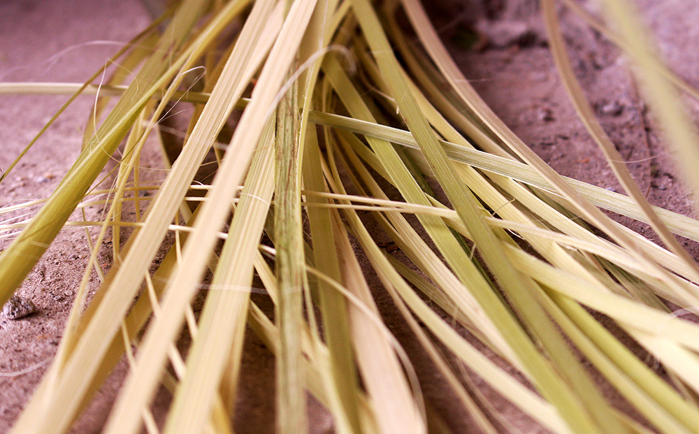 Cứ mỗi mùa Tết đến, cả làng mòn tay tóe máu-6