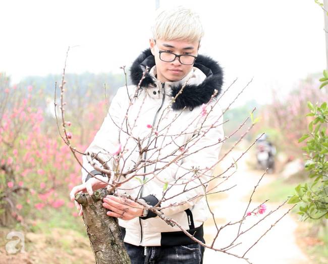 Vụ 150 gốc đào bị phá, chủ một vườn đào tự tử: Chúng tôi không ai phán xét gì, chỉ mong ông B. yên nghỉ”-9