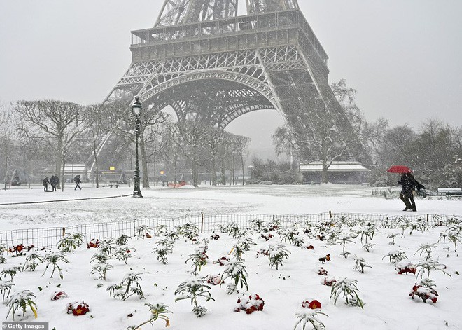 Paris đón tuyết đầu mùa sau nhiều tuần căng thẳng: Kẻ lãng mạn xuống phố, người cô đơn chống chọi giá rét-5