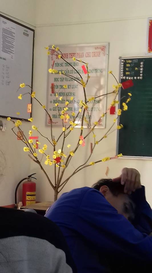 Không khí Tết ở các trường học: Nơi sắm hẳn chậu đào đắt tiền, nơi rộn ràng thi làm bánh chưng-10