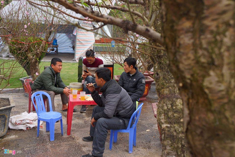 Gốc đào cổ thụ được hét giá 100 triệu ở chợ hoa Tết-8