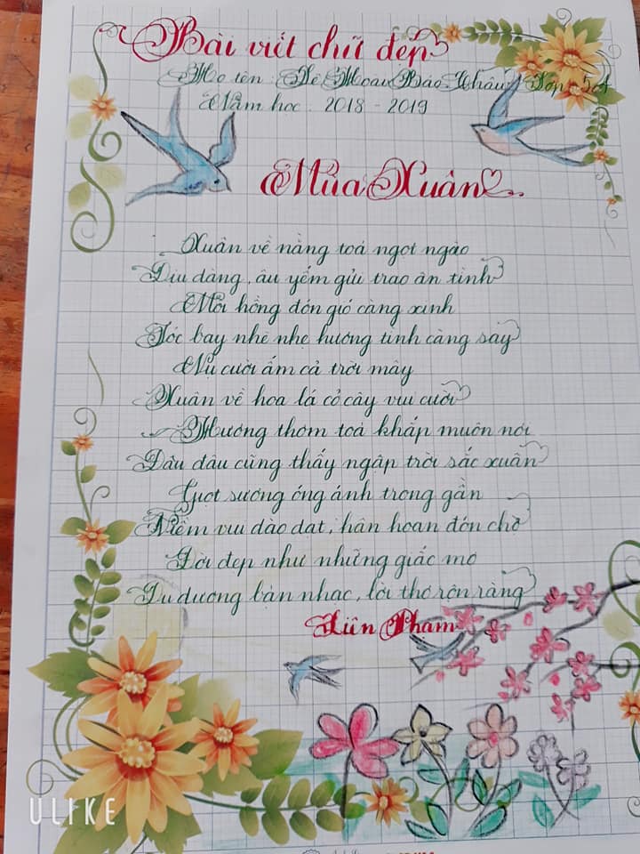 Ảnh: Nét chữ chào xuân của học sinh tiểu học như rồng bay phượng múa-5