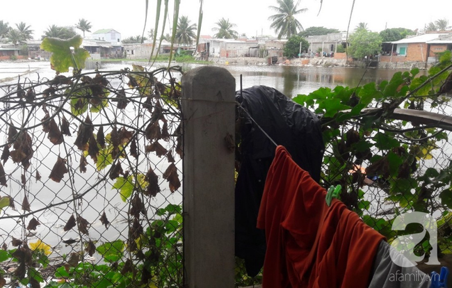 Người vợ bị chồng dùng xăng đốt vì níu kéo tình cảm không thành: Tết này em được về với con rồi-11