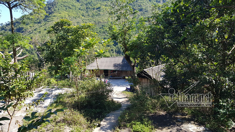 Bi đát phận đẻ thuê nơi xứ người-4