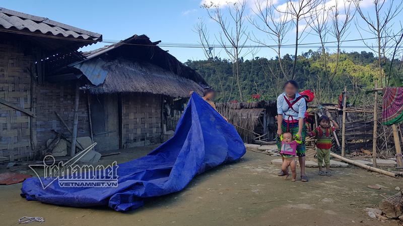 Bi đát phận đẻ thuê nơi xứ người-3