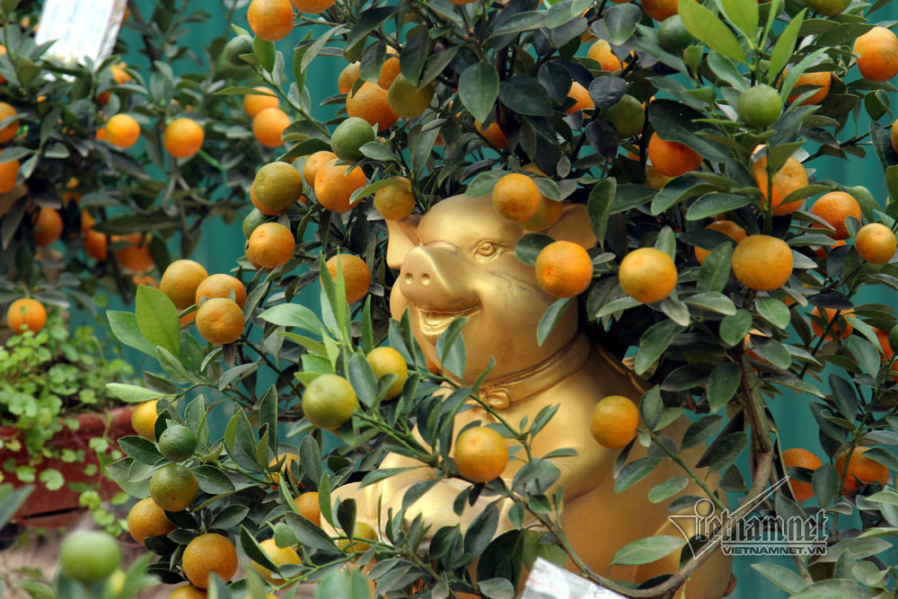 Đệ nhất Hà thành cả năm ém kỹ, Tết ngã giá trăm triệu không bán-4