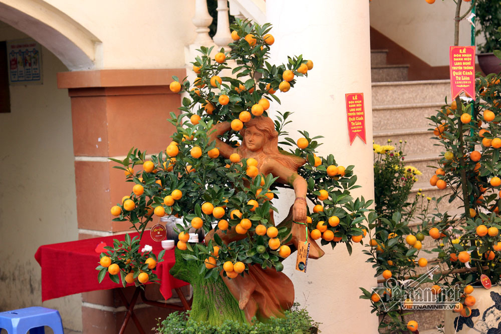 Đệ nhất Hà thành cả năm ém kỹ, Tết ngã giá trăm triệu không bán-8