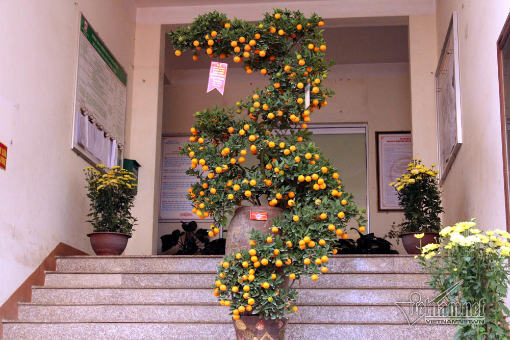 Đệ nhất Hà thành cả năm ém kỹ, Tết ngã giá trăm triệu không bán-3