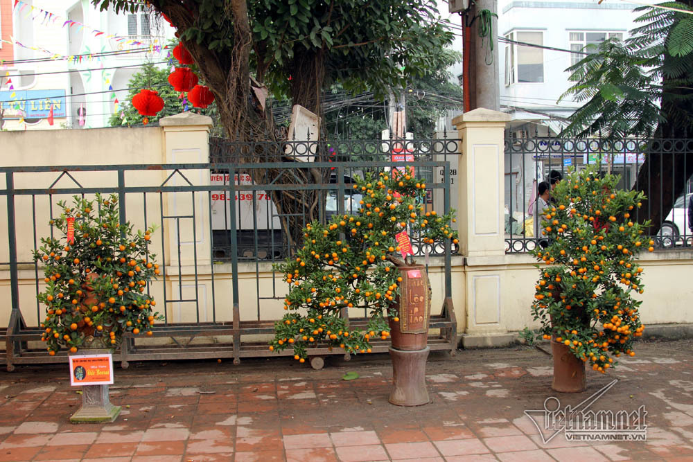 Đệ nhất Hà thành cả năm ém kỹ, Tết ngã giá trăm triệu không bán-12