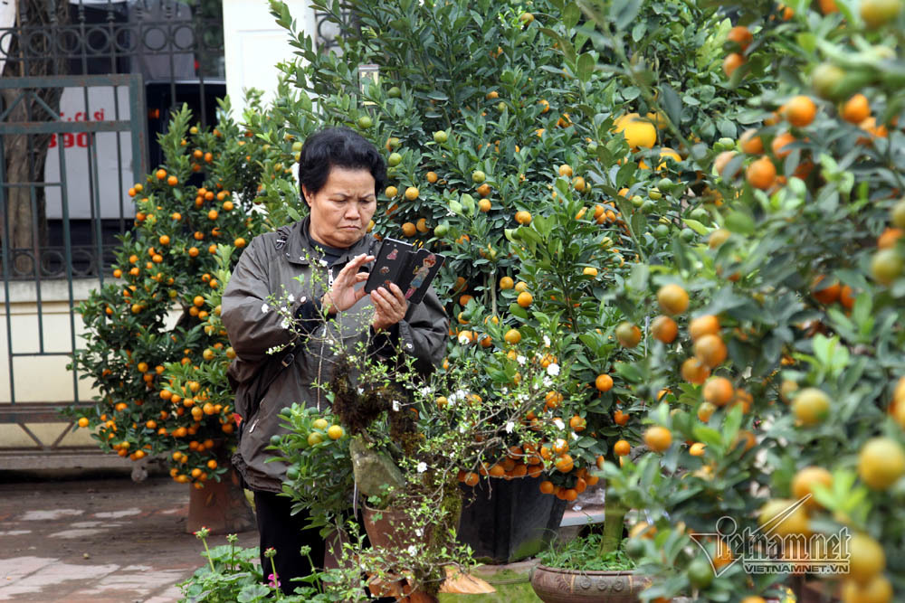 Đệ nhất Hà thành cả năm ém kỹ, Tết ngã giá trăm triệu không bán-15