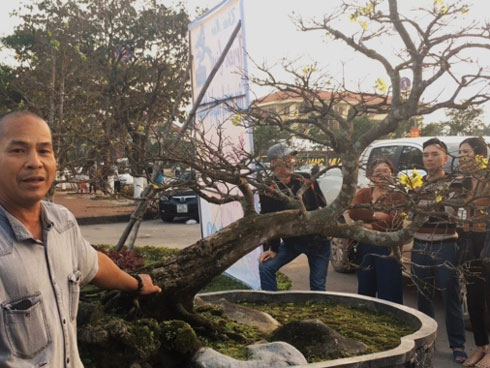 Bốn ngày buôn lan lỗ cả ngàn USD: Vụ Tết nhớ đời của anh trai công sở-2