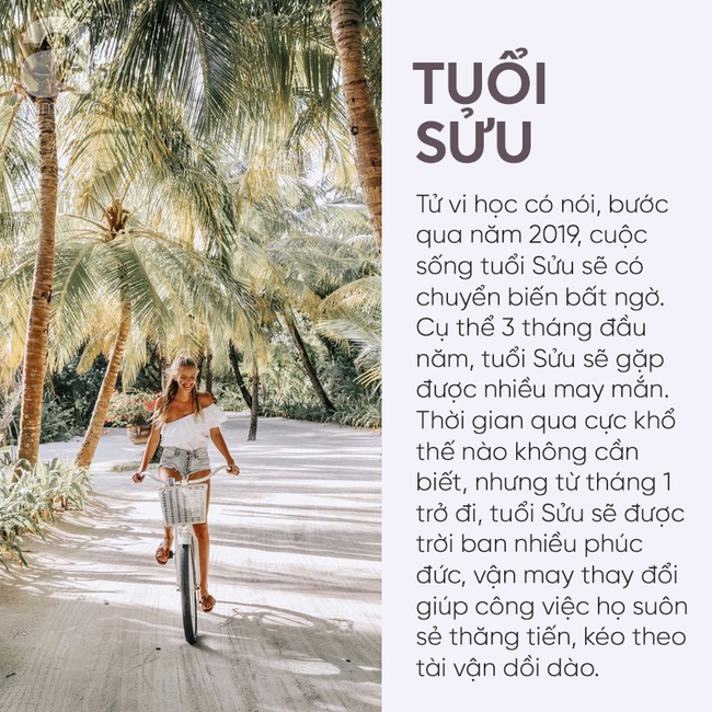 3 con giáp này chuẩn bị tinh thần đón hỷ trong 3 tháng đầu năm 2019: tháng 1 phát tài, tháng 2 thăng tiến, tháng 3 đào hoa-1