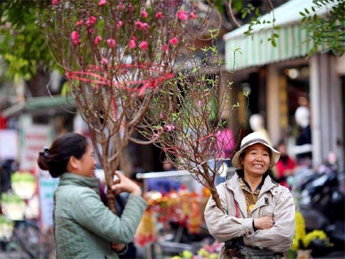 Dự báo thời tiết Tết Nguyên đán Kỷ Hợi 2019: miền Bắc có mưa xuân, miền Nam nắng ấm