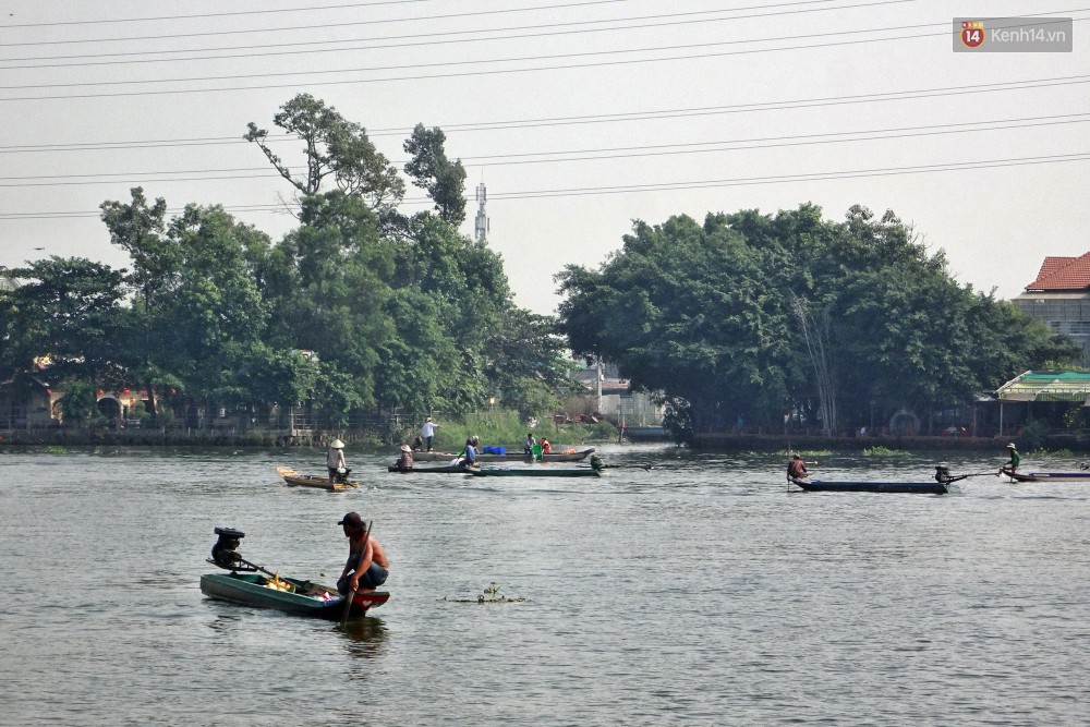 Khổ như cá chép ngày tiễn ông Táo: Vừa được phóng sinh đã bị đội quân chèo thuyền chờ sẵn để chích điện-3