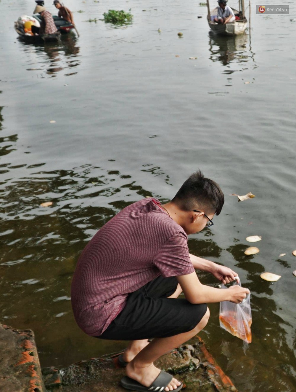 Khổ như cá chép ngày tiễn ông Táo: Vừa được phóng sinh đã bị đội quân chèo thuyền chờ sẵn để chích điện-5