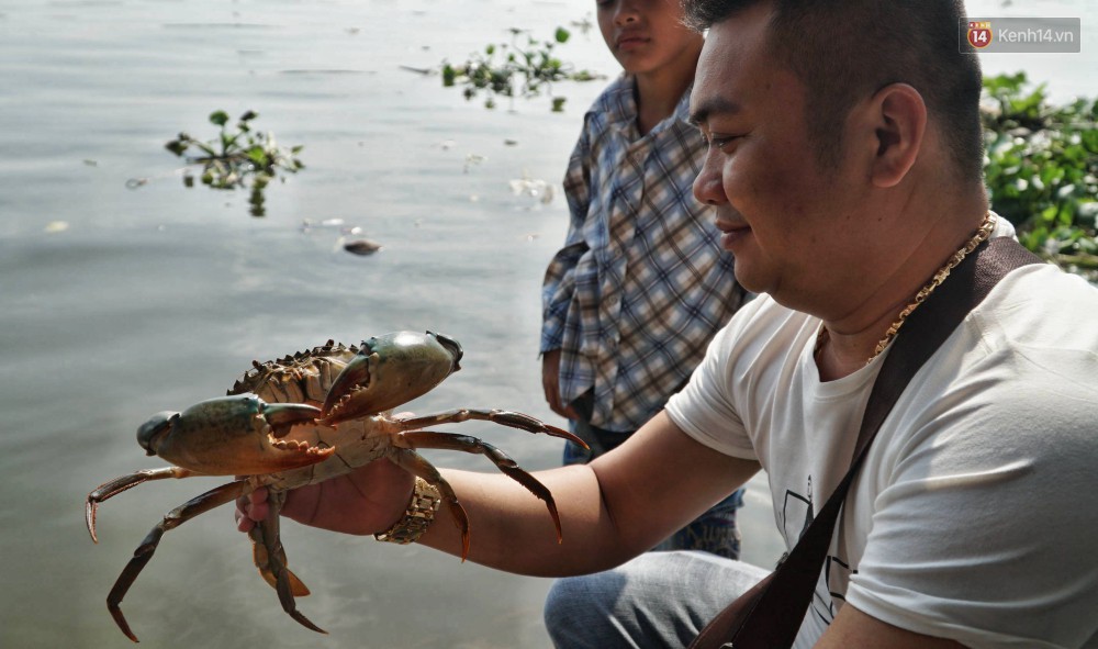 Khổ như cá chép ngày tiễn ông Táo: Vừa được phóng sinh đã bị đội quân chèo thuyền chờ sẵn để chích điện-10