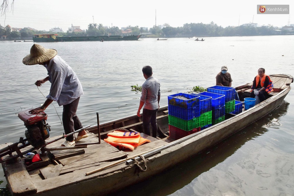 Khổ như cá chép ngày tiễn ông Táo: Vừa được phóng sinh đã bị đội quân chèo thuyền chờ sẵn để chích điện-11