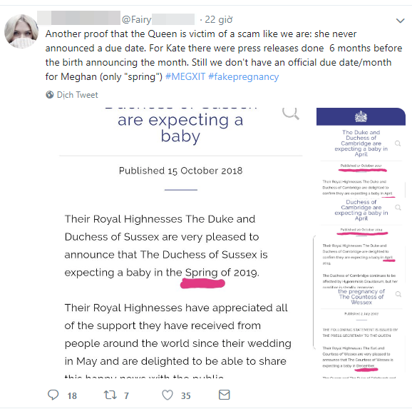 Meghan bị nghi dùng chiêu trò từ việc mang thai để ngày càng trở nên nổi tiếng-1