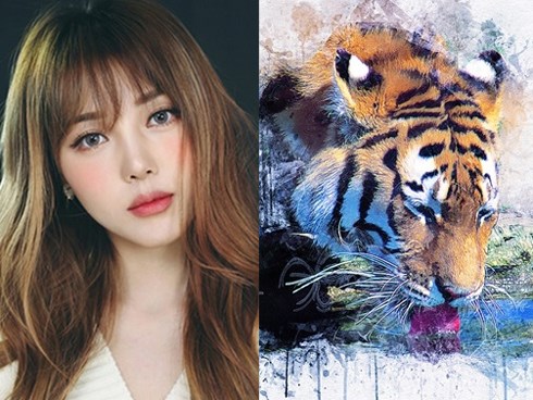 Chờ đến Tết Kỷ Hợi 2019, 4 con giáp này chuẩn bị tinh thần BÙNG NỔ: Tài lộc trĩu tay - vận may đầy nhà
