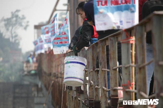 Ảnh: Cá chép đu dây xuống sông Hồng ngày ông Công ông Táo về trời-3