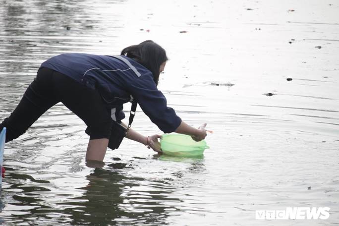 Ảnh: Cá chép đu dây xuống sông Hồng ngày ông Công ông Táo về trời-11