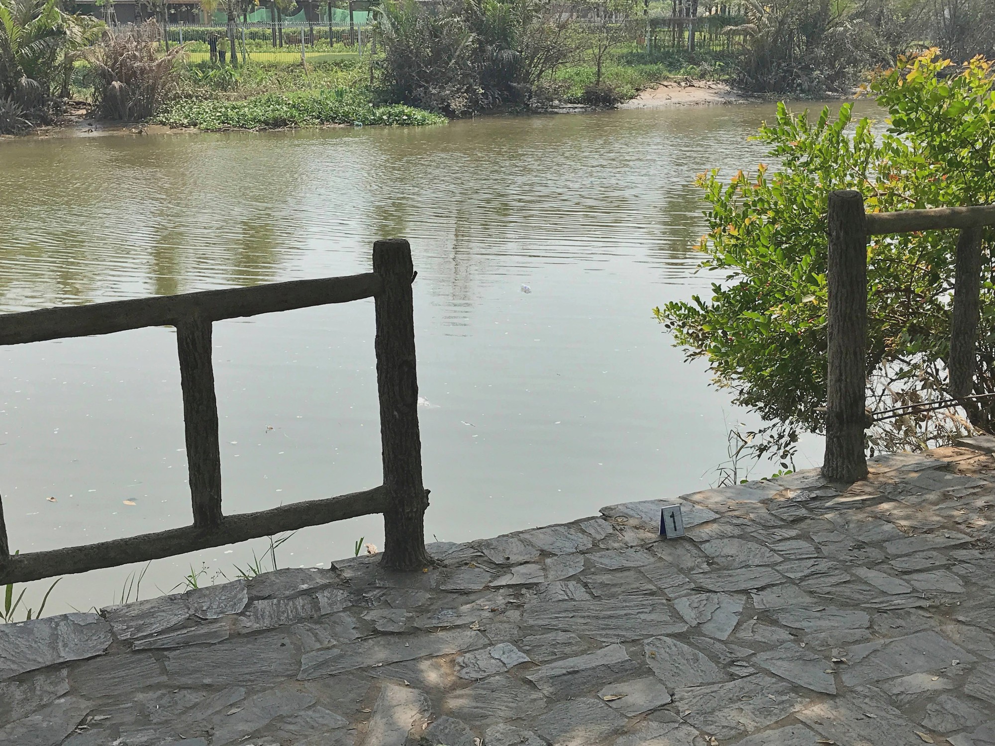 Đi thả cá phóng sinh ngày 23 tháng Chạp, con trai 7 tuổi gào khóc cầu cứu khi mẹ bị trượt chân rơi xuống sông đuối nước-1