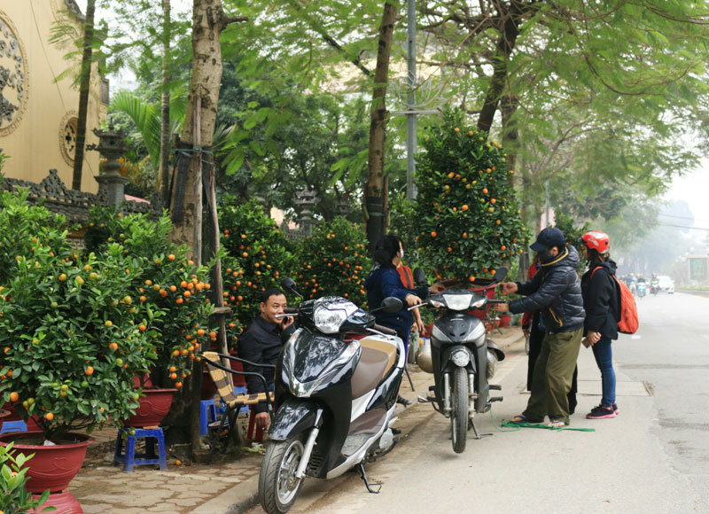 Bao tải đất bí ẩn, độc chiêu kiếm 1 triệu/ngày của bác xe ôm Nhật Tân-6