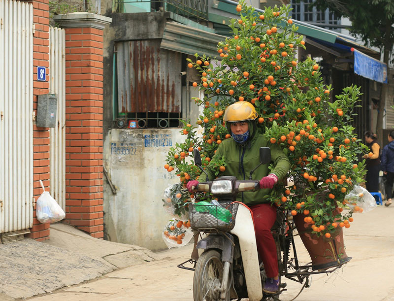 Bao tải đất bí ẩn, độc chiêu kiếm 1 triệu/ngày của bác xe ôm Nhật Tân-7