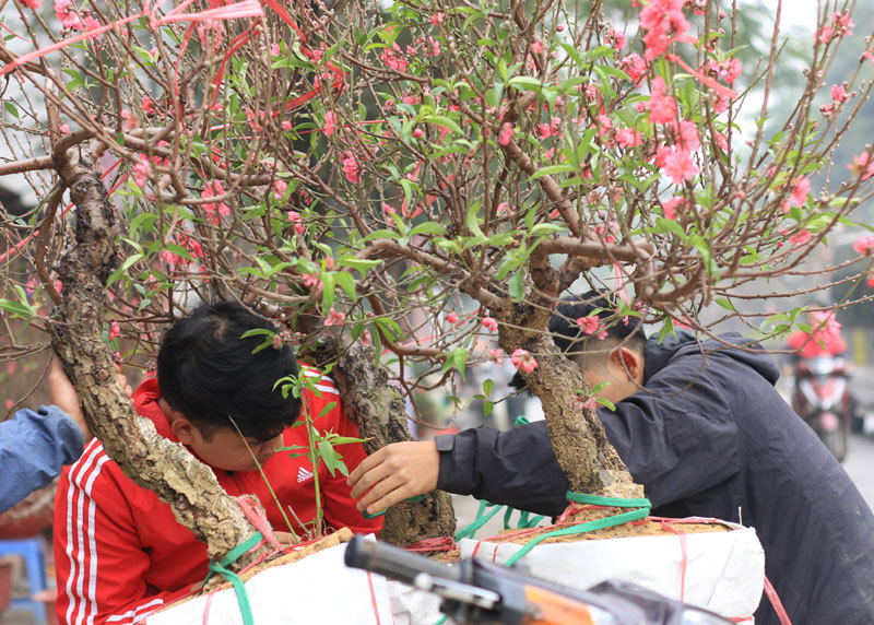 Bao tải đất bí ẩn, độc chiêu kiếm 1 triệu/ngày của bác xe ôm Nhật Tân-2